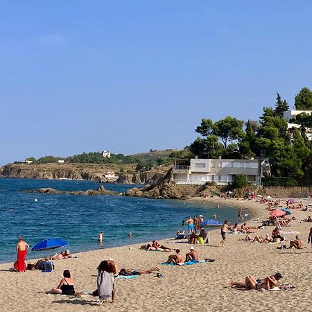 Maison De Flo Centre Historique Argeles Sur Mer 외부 사진