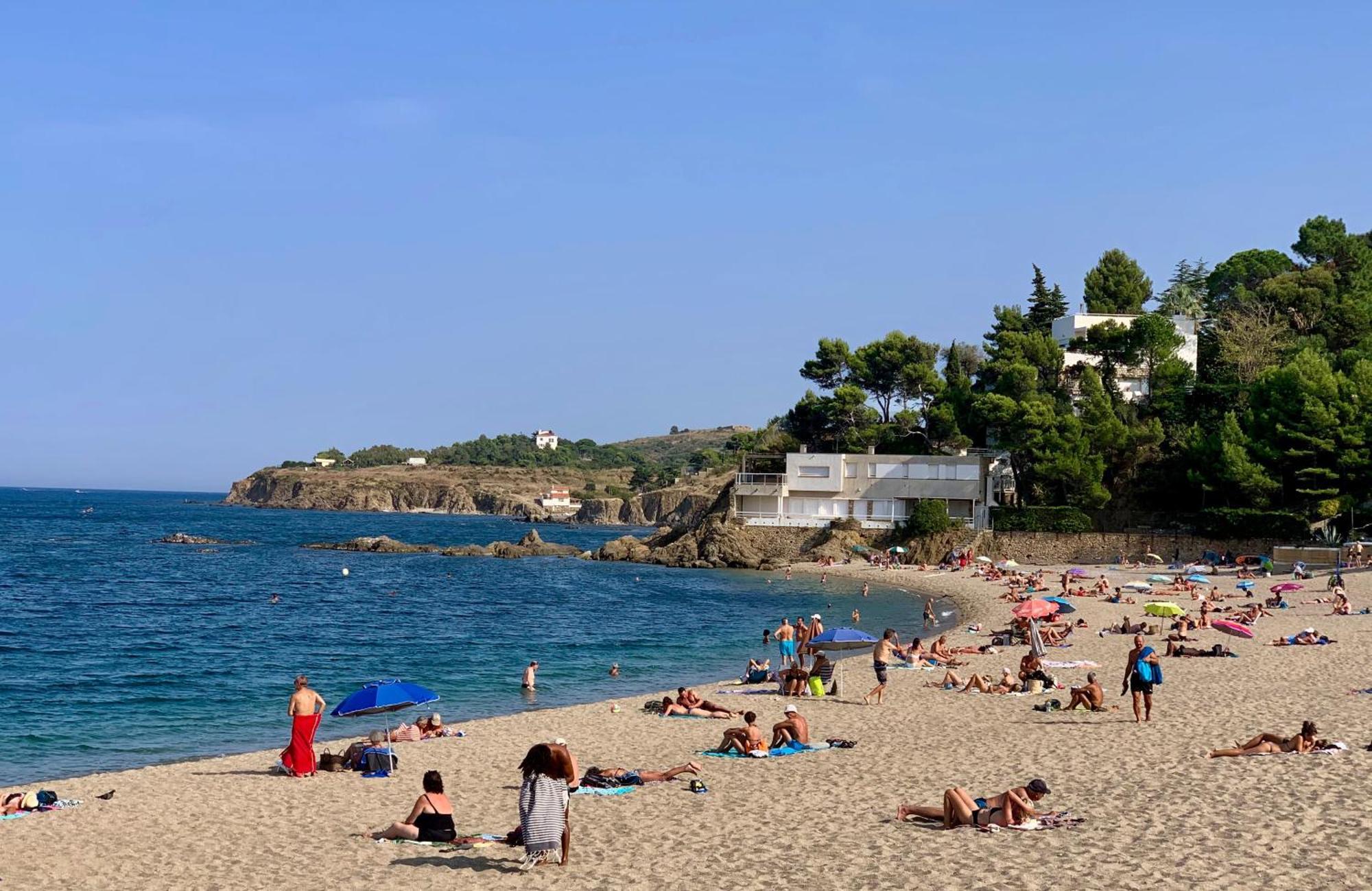 Maison De Flo Centre Historique Argeles Sur Mer 외부 사진